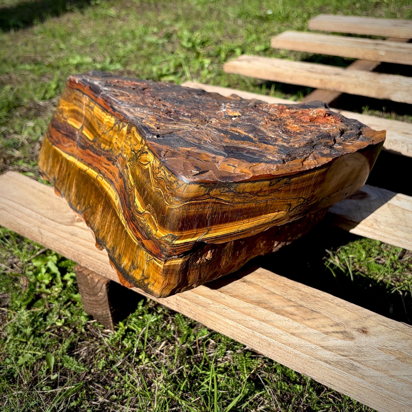 XL Tigers Eye Crystal | 16.9kg Part Polished