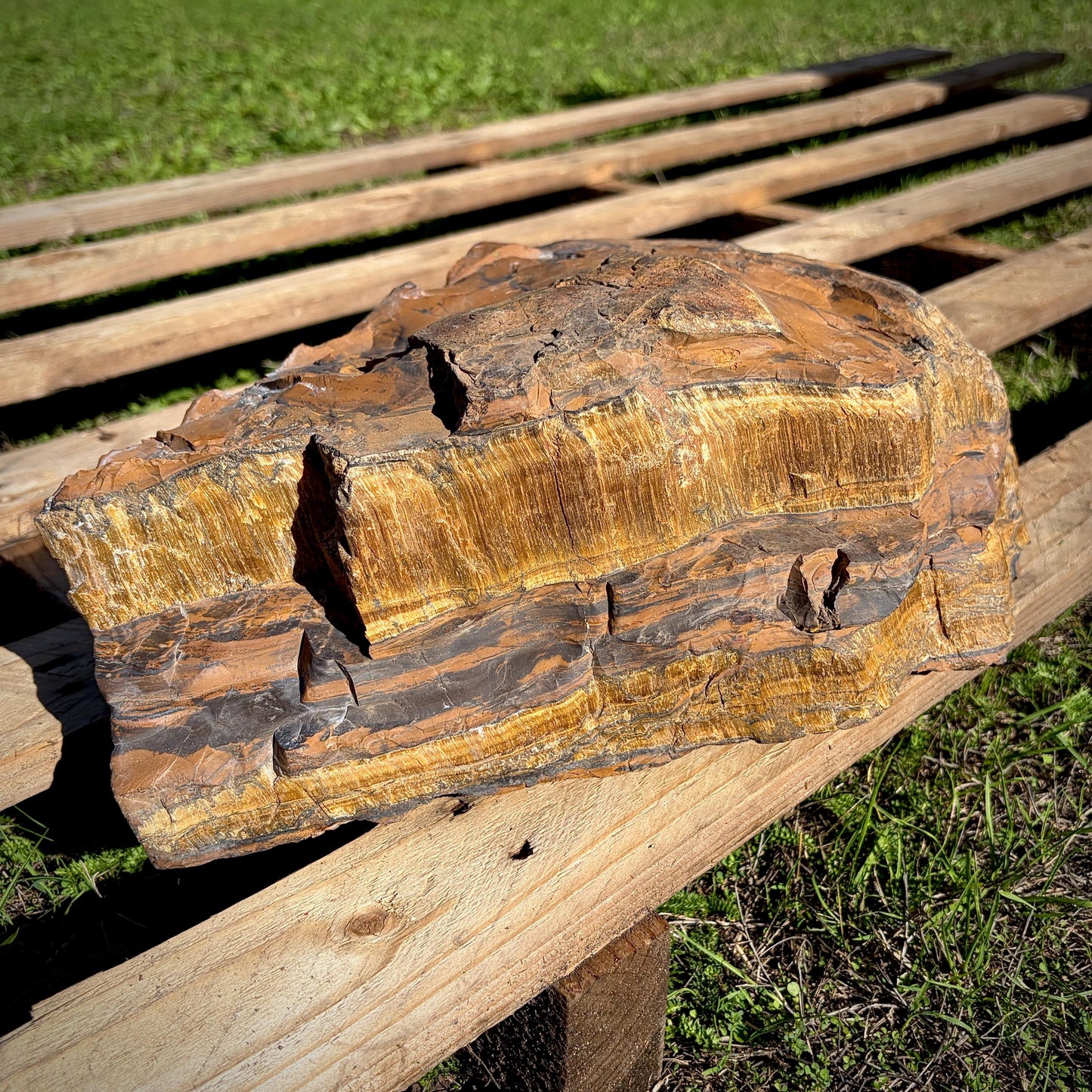 XL Tigers Eye Crystal | 16.9kg Part Polished