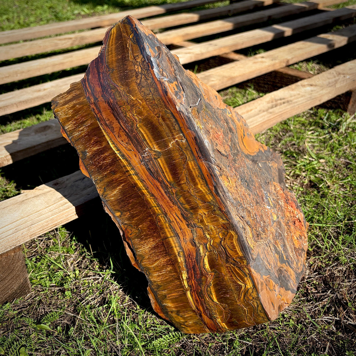 XL Tigers Eye Crystal | 16.9kg Part Polished