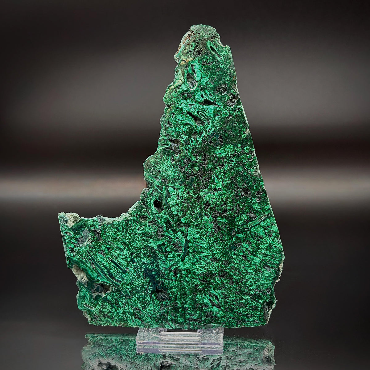 Floral Malachite Collector Specimen | Natural Banded Malachite Slice | 278g #7