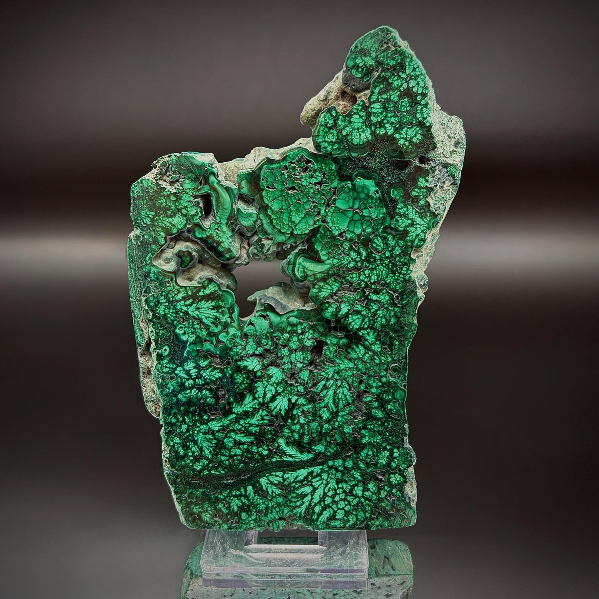 Floral Malachite Collector Specimen | Natural Banded Malachite Slice | 275g #6