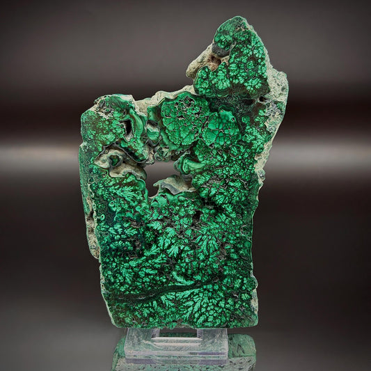 Floral Malachite Collector Specimen | Natural Banded Malachite Slice | 275g #6