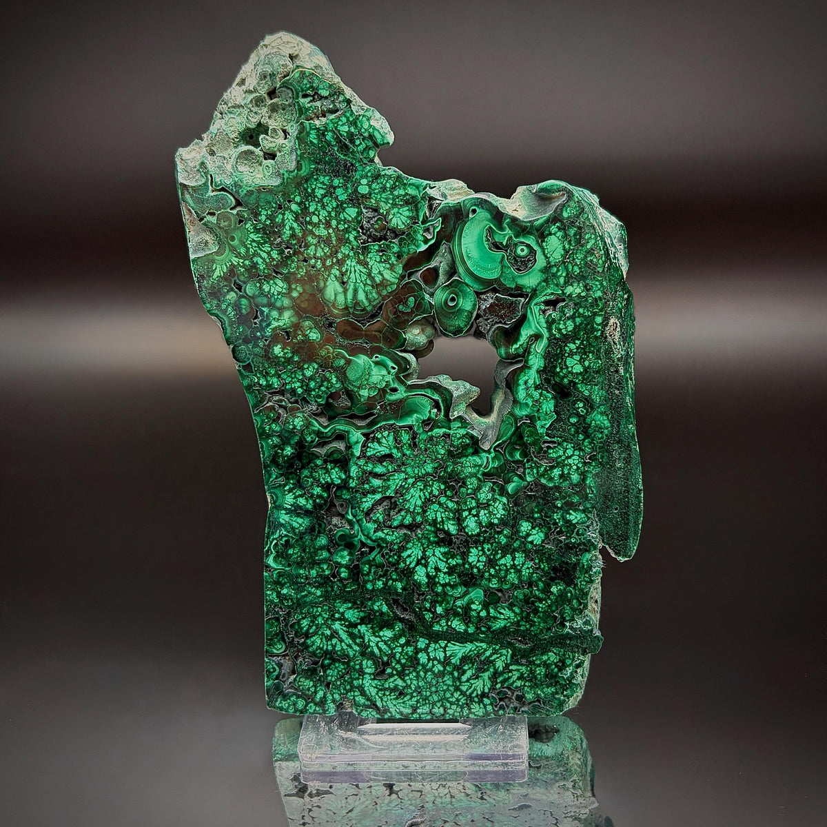 Floral Malachite Collector Specimen | Natural Banded Malachite Slice | 275g #6