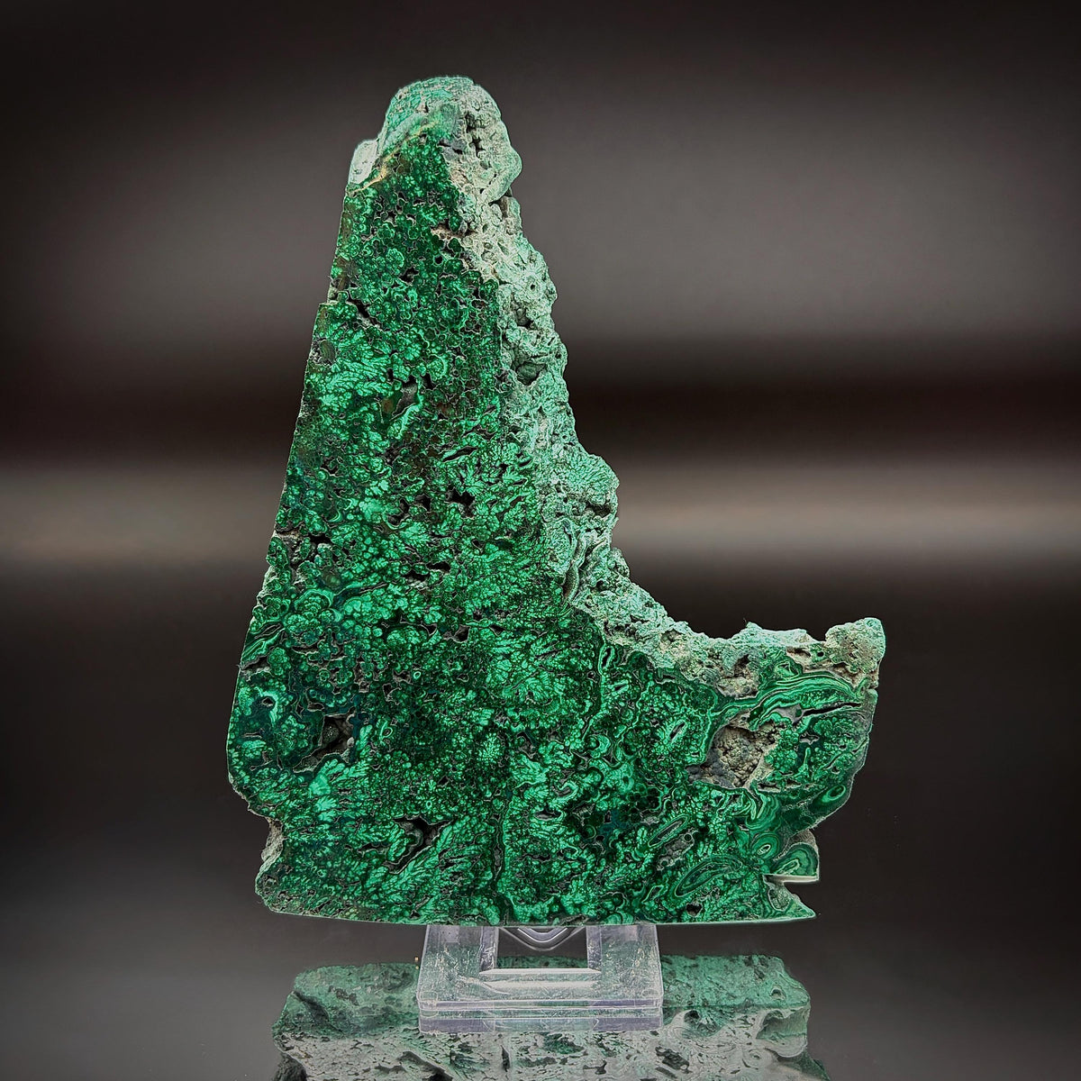 Floral Malachite Collector Specimen | Natural Banded Malachite Slice | 278g #7