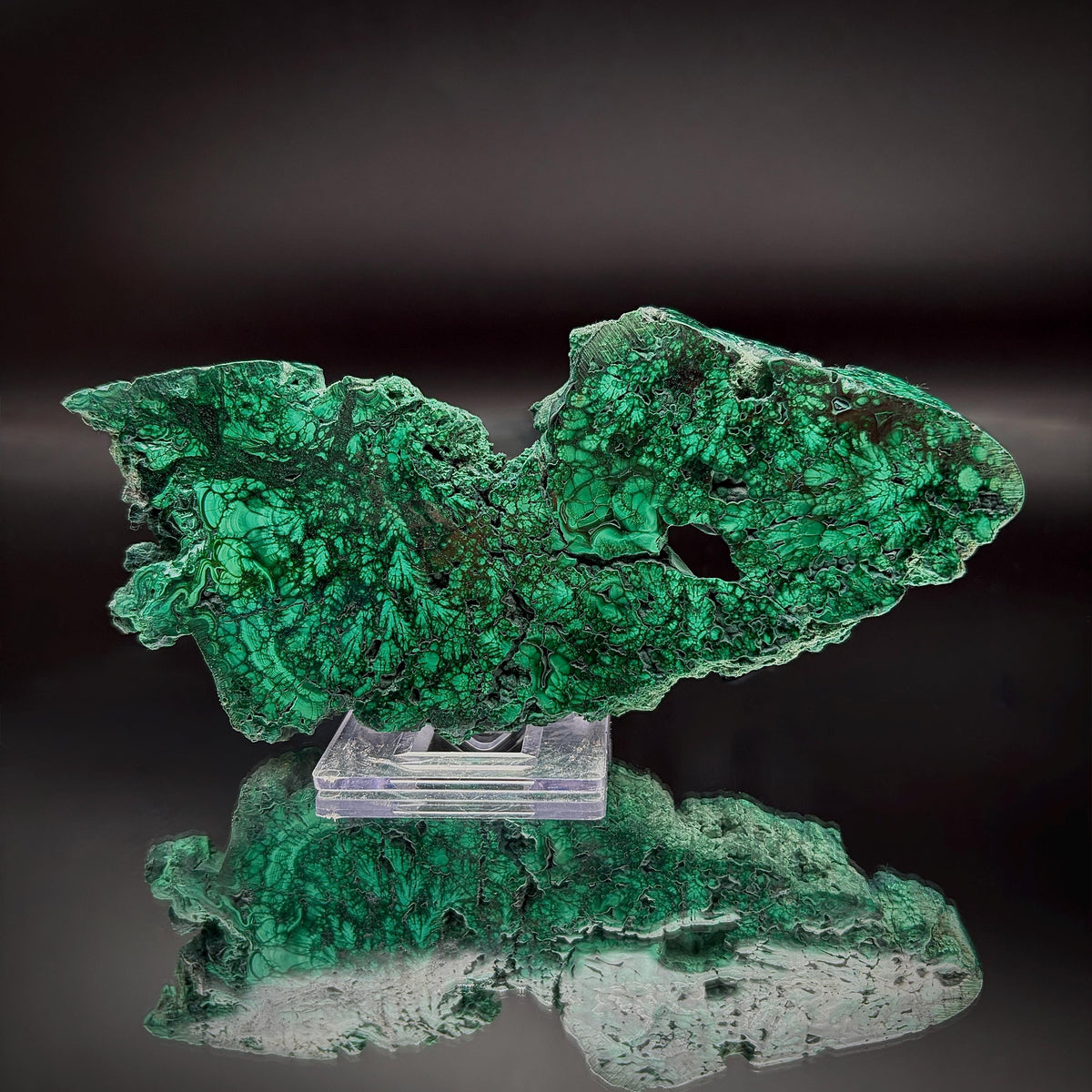 Floral Malachite Collector Specimen | Natural Banded Malachite Slice | 203g #5