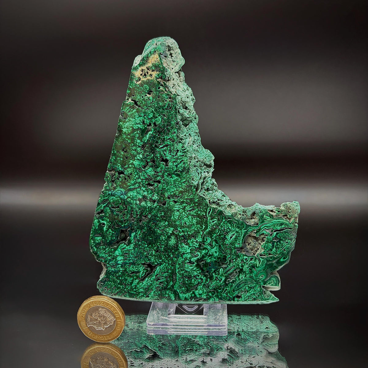 Floral Malachite Collector Specimen | Natural Banded Malachite Slice | 278g #7