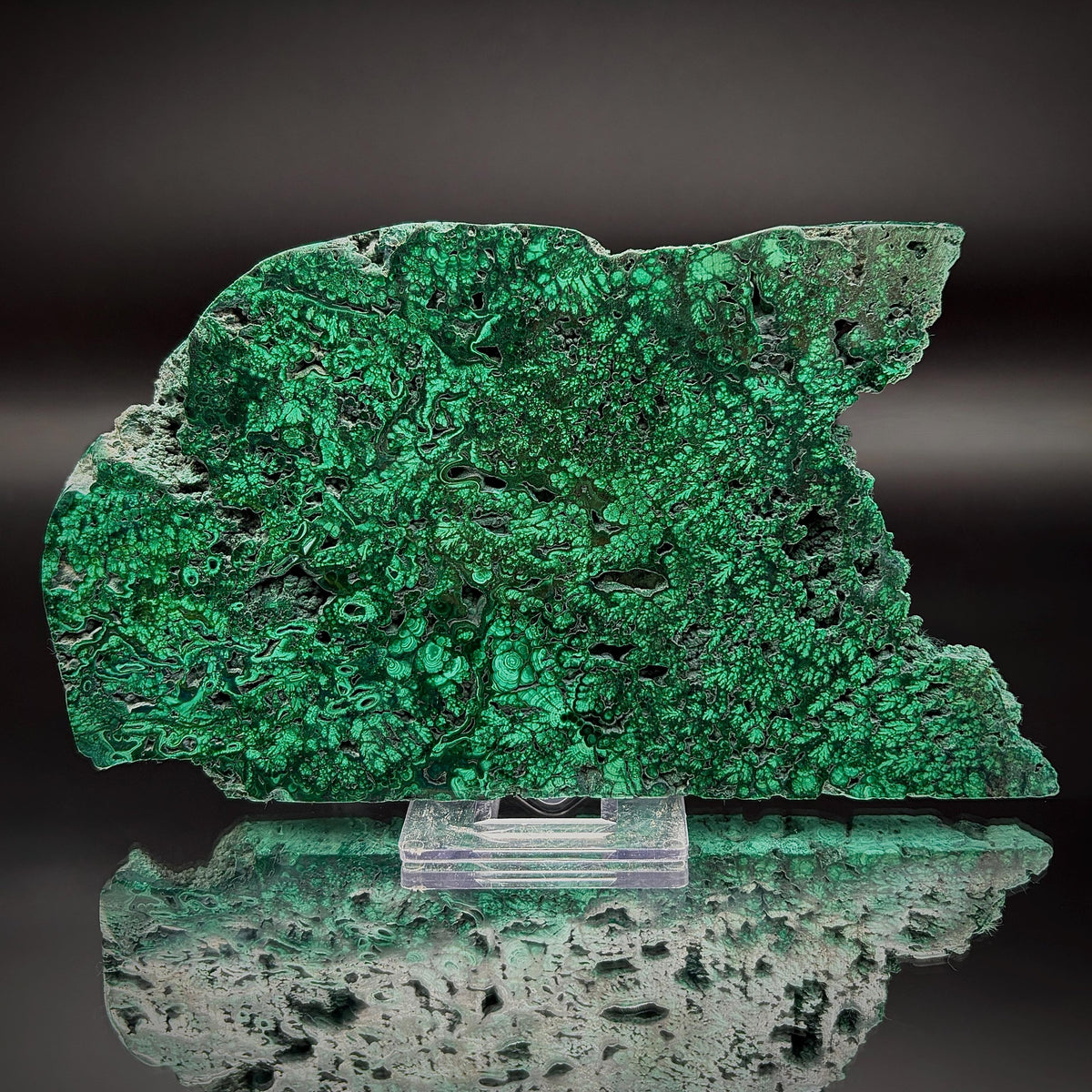 Large Floral Polished Malachite Collector Specimen | Natural Banded Malachite Slice | 304g #4