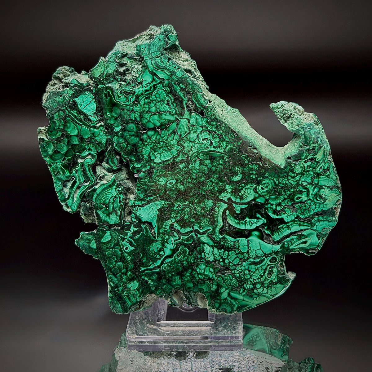 Large Floral Polished Malachite Collector Specimen | Natural Banded Malachite Slice | 242g #3