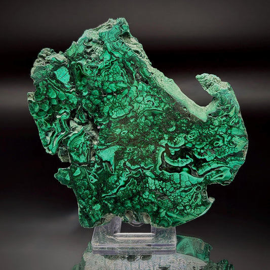 Large Floral Polished Malachite Collector Specimen | Natural Banded Malachite Slice | 242g #3