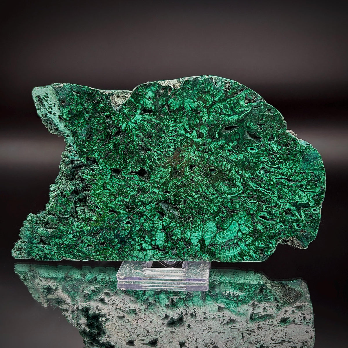 Large Floral Polished Malachite Collector Specimen | Natural Banded Malachite Slice | 304g #4