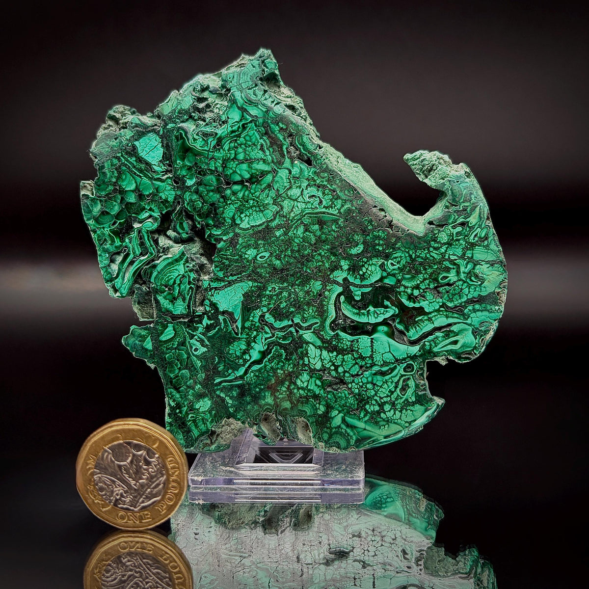 Large Floral Polished Malachite Collector Specimen | Natural Banded Malachite Slice | 242g #3