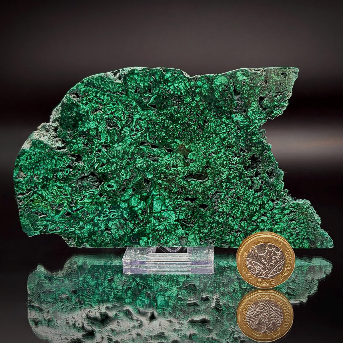 Large Floral Polished Malachite Collector Specimen | Natural Banded Malachite Slice | 304g #4