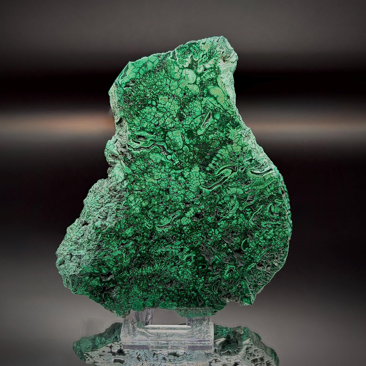 Large Floral Polished Malachite Collector Specimen | Natural Banded Malachite Slice | 255g #2