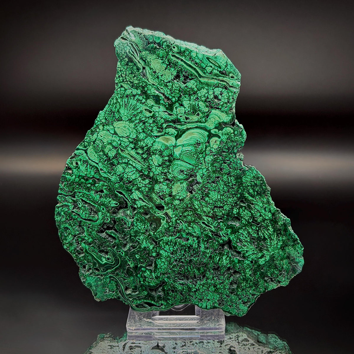 Large Floral Polished Malachite Collector Specimen | Natural Banded Malachite Slice | 255g #2