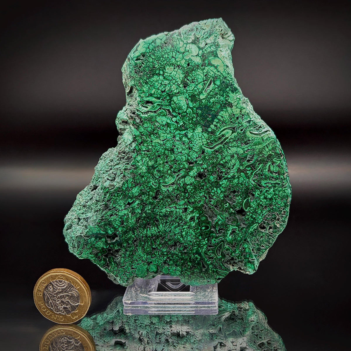 Large Floral Polished Malachite Collector Specimen | Natural Banded Malachite Slice | 255g #2