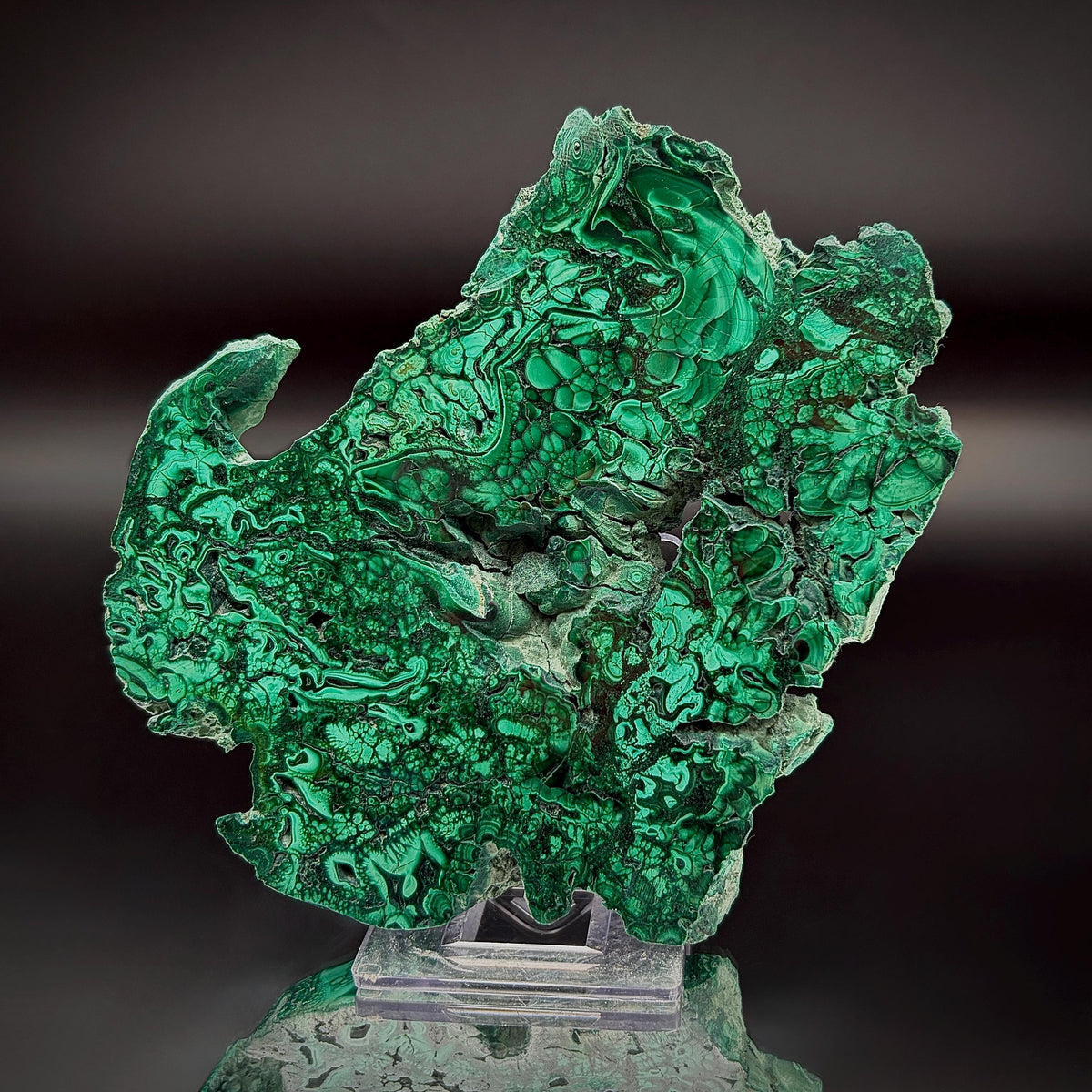 Large Floral Polished Malachite Collector Specimen | Natural Banded Malachite Slice | 242g #3