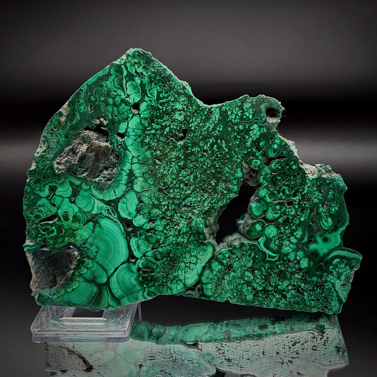 Large Floral Polished Malachite Collector Specimen | Natural Banded Malachite Slice | 372g #1