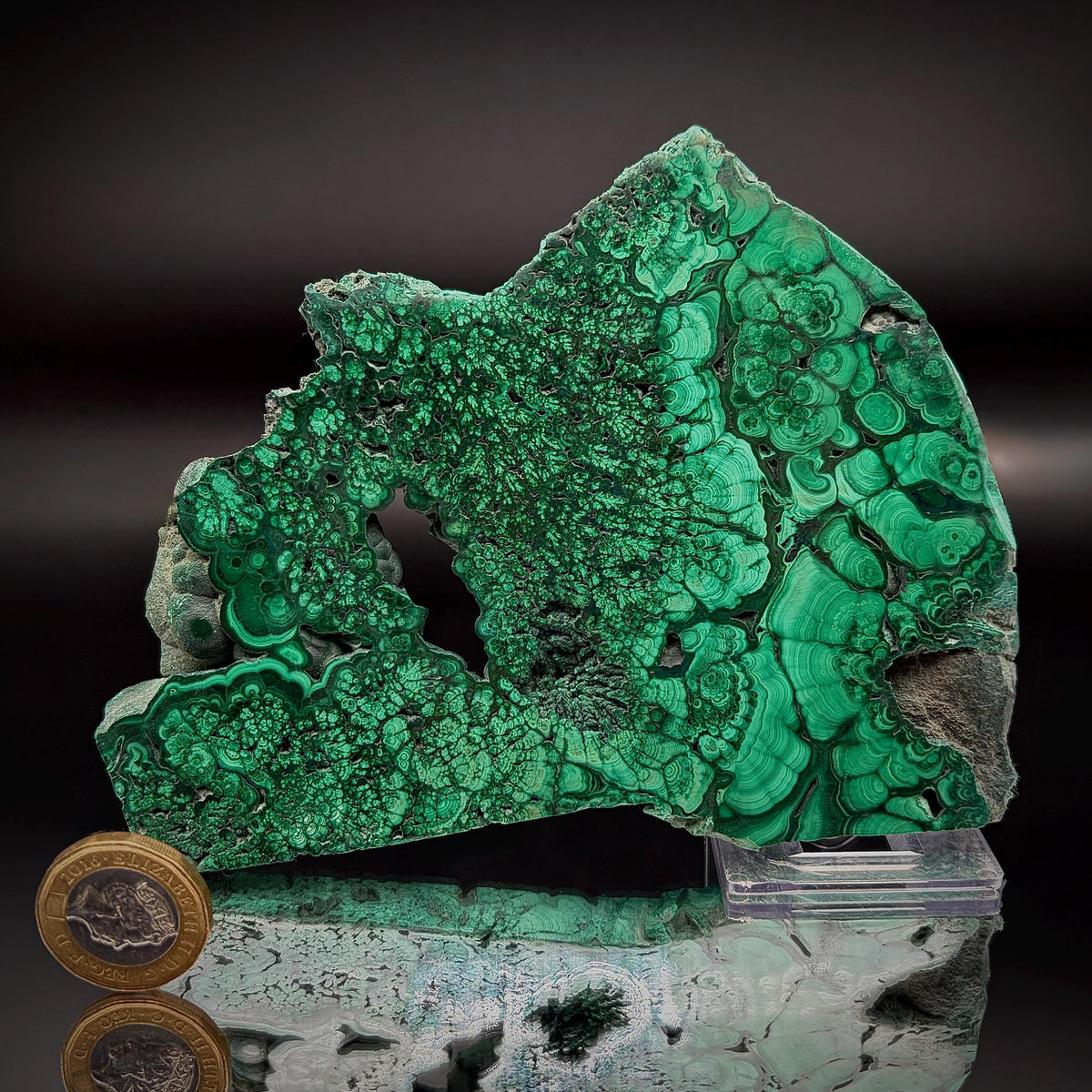 Large Floral Polished Malachite Collector Specimen | Natural Banded Malachite Slice | 372g #1