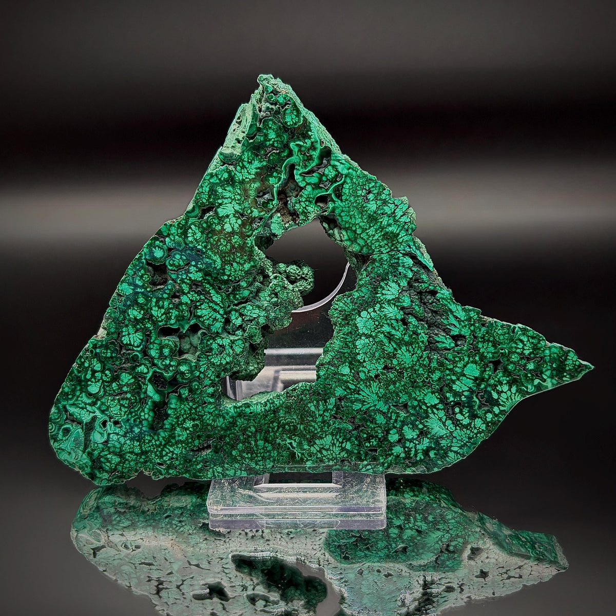 Floral Malachite Collector Specimen | Natural Banded Malachite Slice | 195g #10