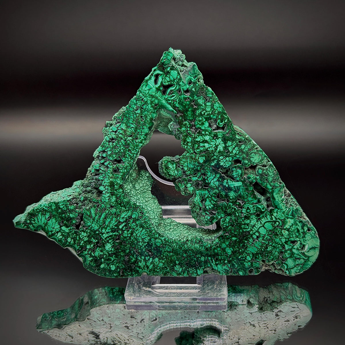 Floral Malachite Collector Specimen | Natural Banded Malachite Slice | 195g #10