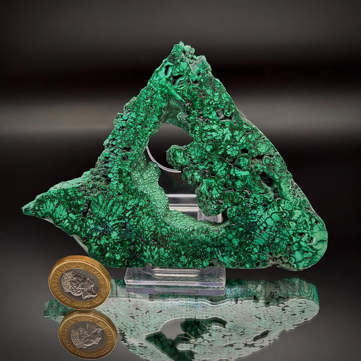 Floral Malachite Collector Specimen | Natural Banded Malachite Slice | 195g #10