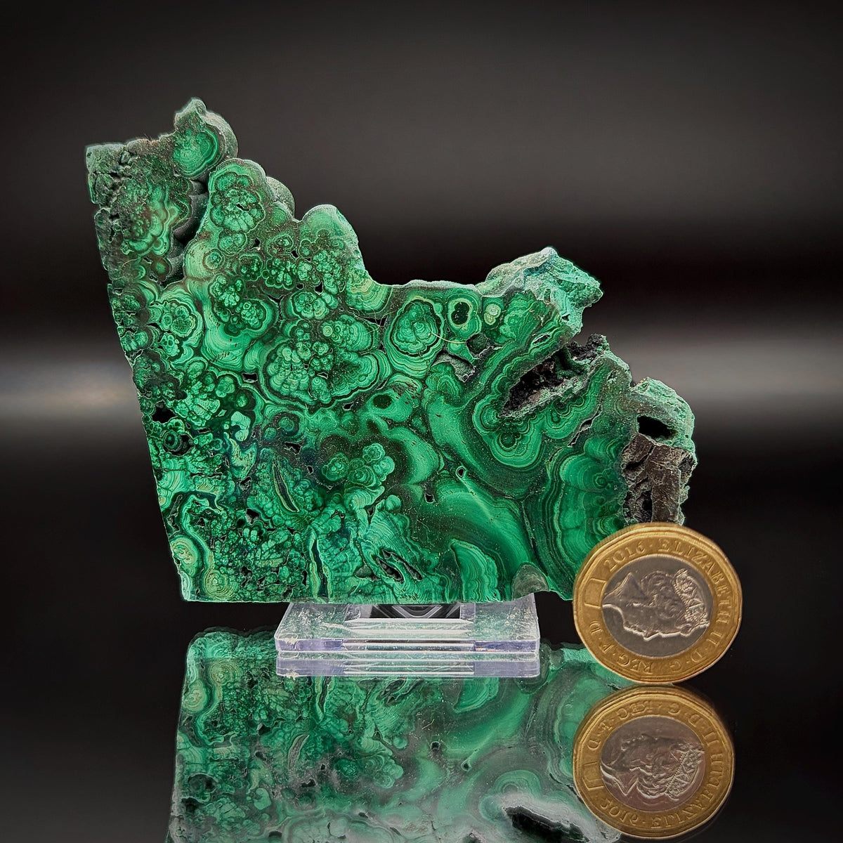 Floral Malachite Collector Specimen | Natural Banded Malachite Slice | 174g #9