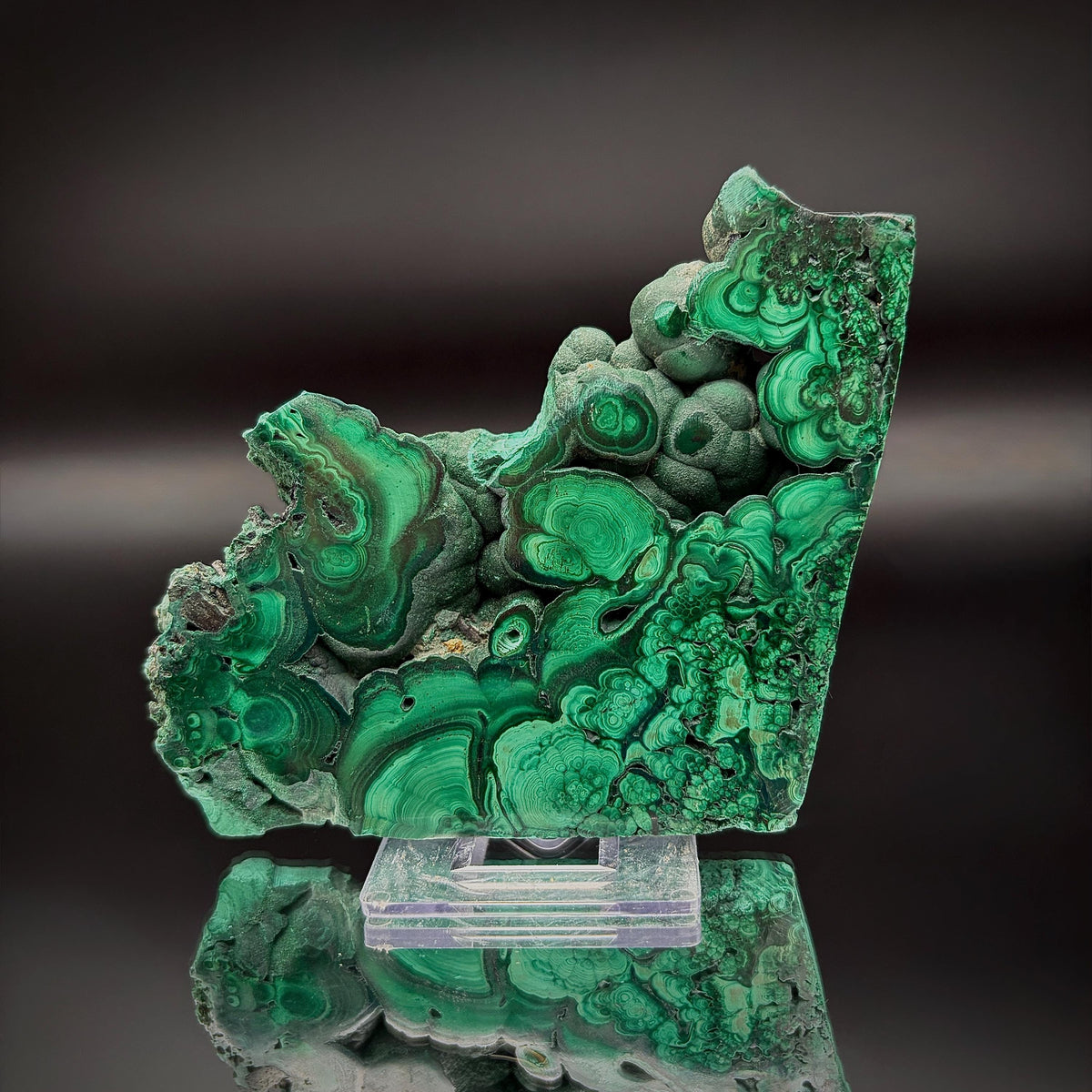 Floral Malachite Collector Specimen | Natural Banded Malachite Slice | 174g #9