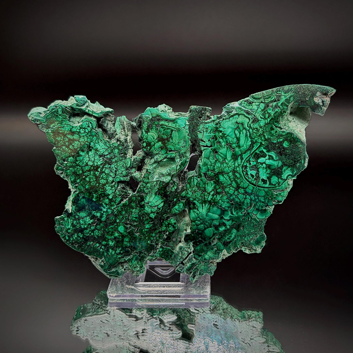 Floral Malachite Collector Specimen | Natural Banded Malachite Slice | 175g #8