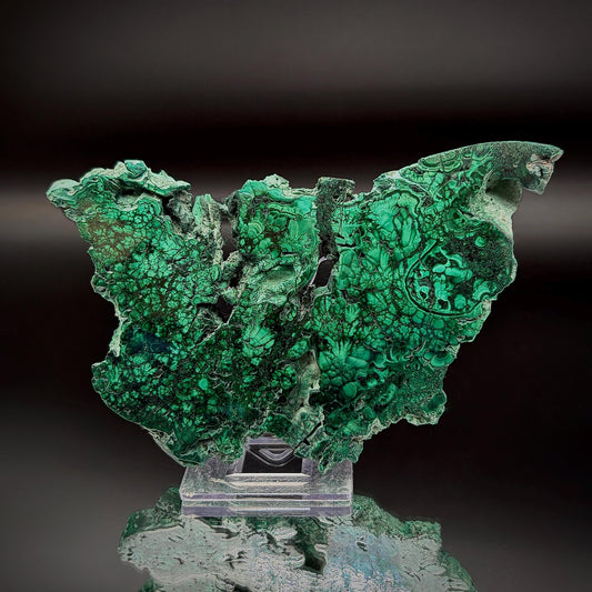 Floral Malachite Collector Specimen | Natural Banded Malachite Slice | 175g #8