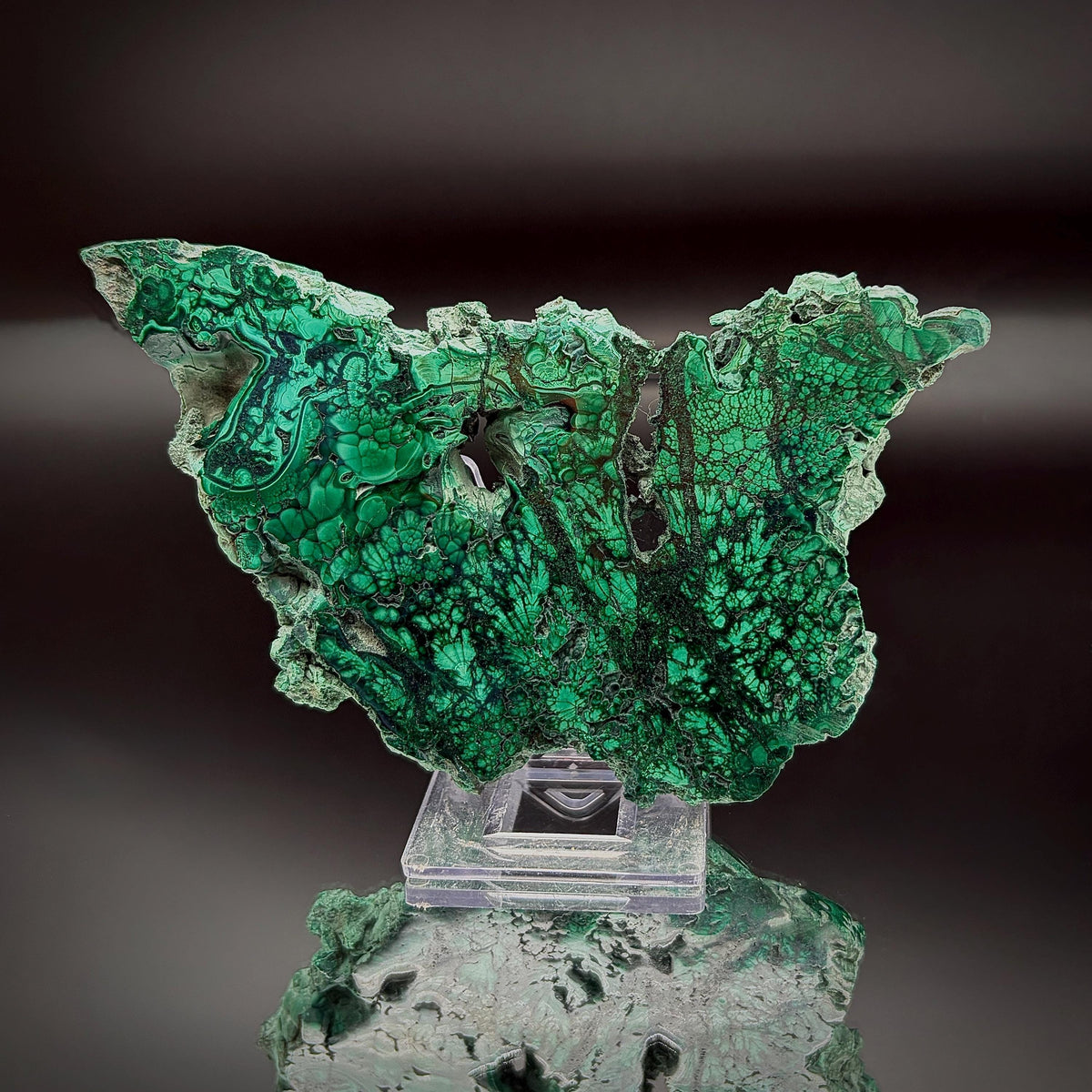 Floral Malachite Collector Specimen | Natural Banded Malachite Slice | 175g #8