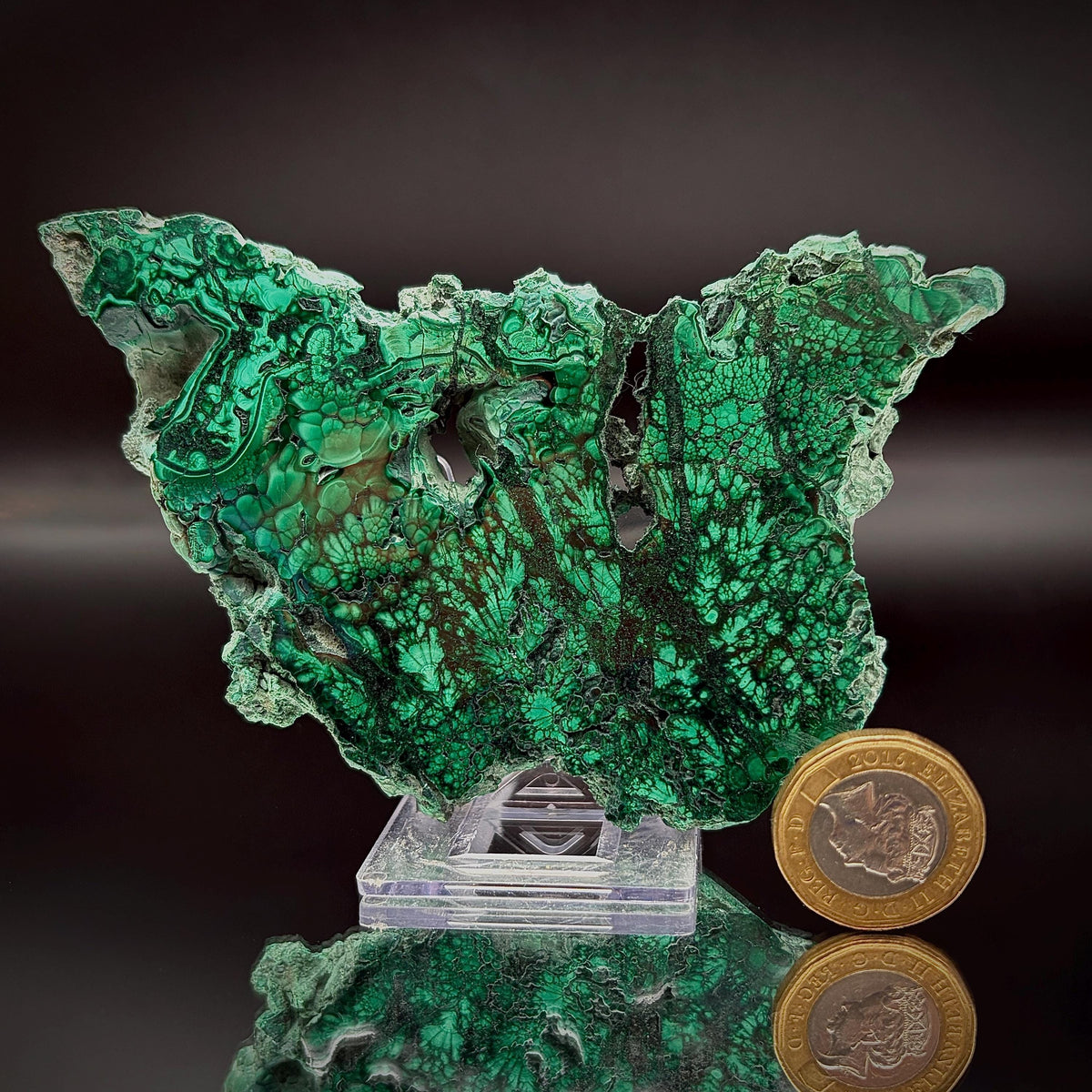 Floral Malachite Collector Specimen | Natural Banded Malachite Slice | 175g #8