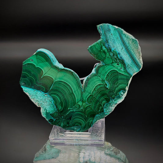 Polished Malacolla Collector Slice | Malachite with Chrysocolla | 90g #1