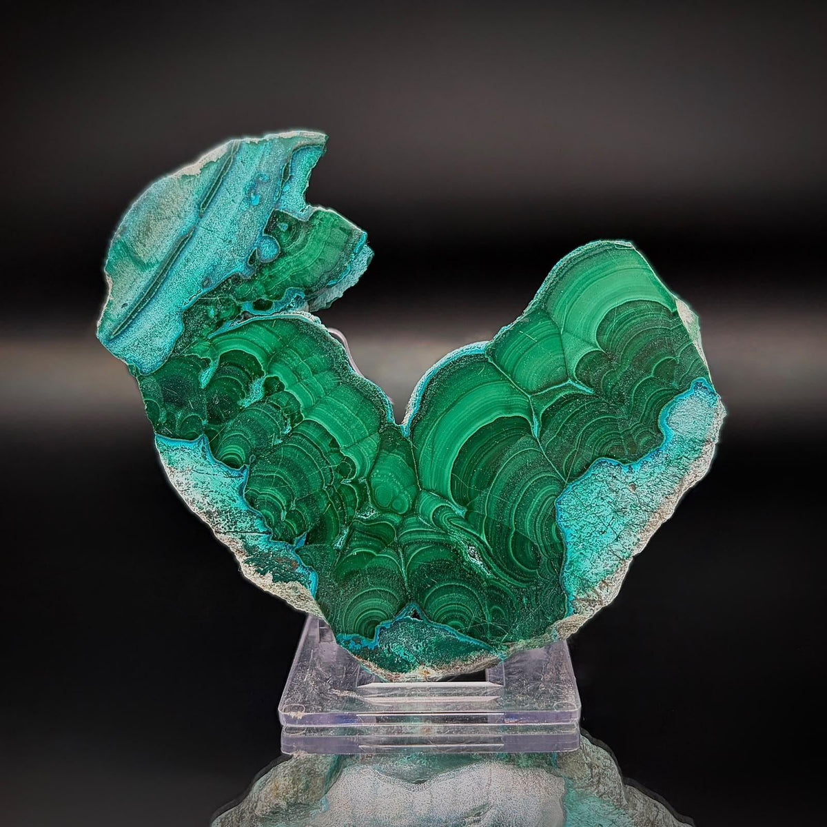 Polished Malacolla Collector Slice | Malachite with Chrysocolla | 90g #1