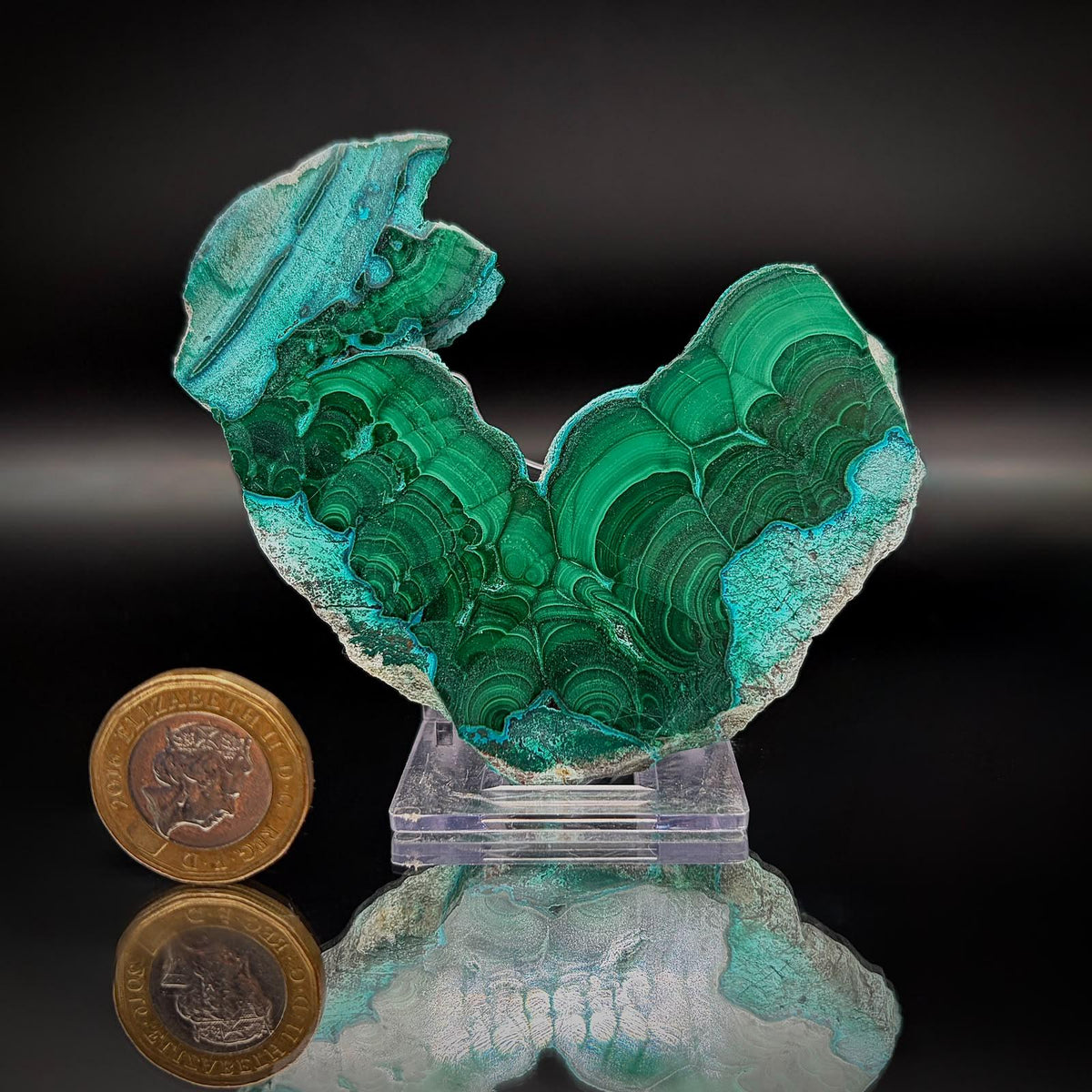 Polished Malacolla Collector Slice | Malachite with Chrysocolla | 90g #1