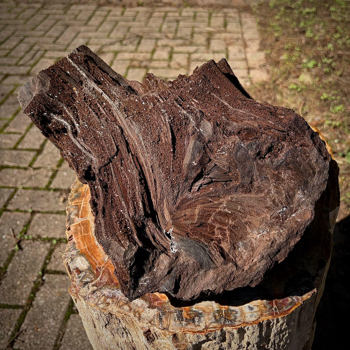 Petrified Wood with Quartz Druzy | Permineralised Fossil from Germany | 6.15kg Collector Specimen (DP)
