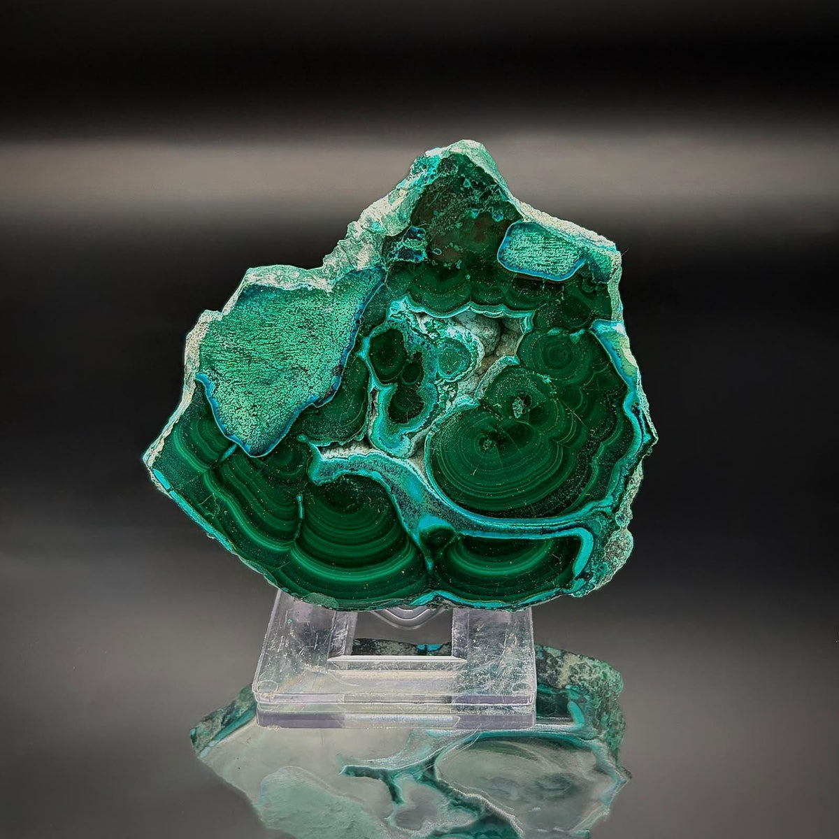 Polished Malacolla Collector Slice | Malachite with Chrysocolla | 75g #5