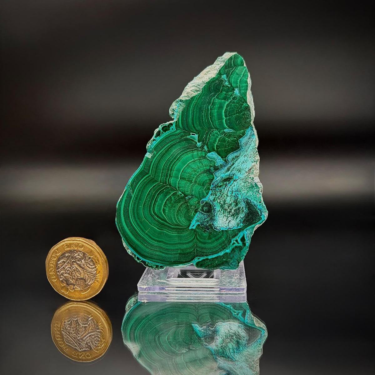 Polished Malacolla Collector Slice | Malachite with Chrysocolla | 73g #3