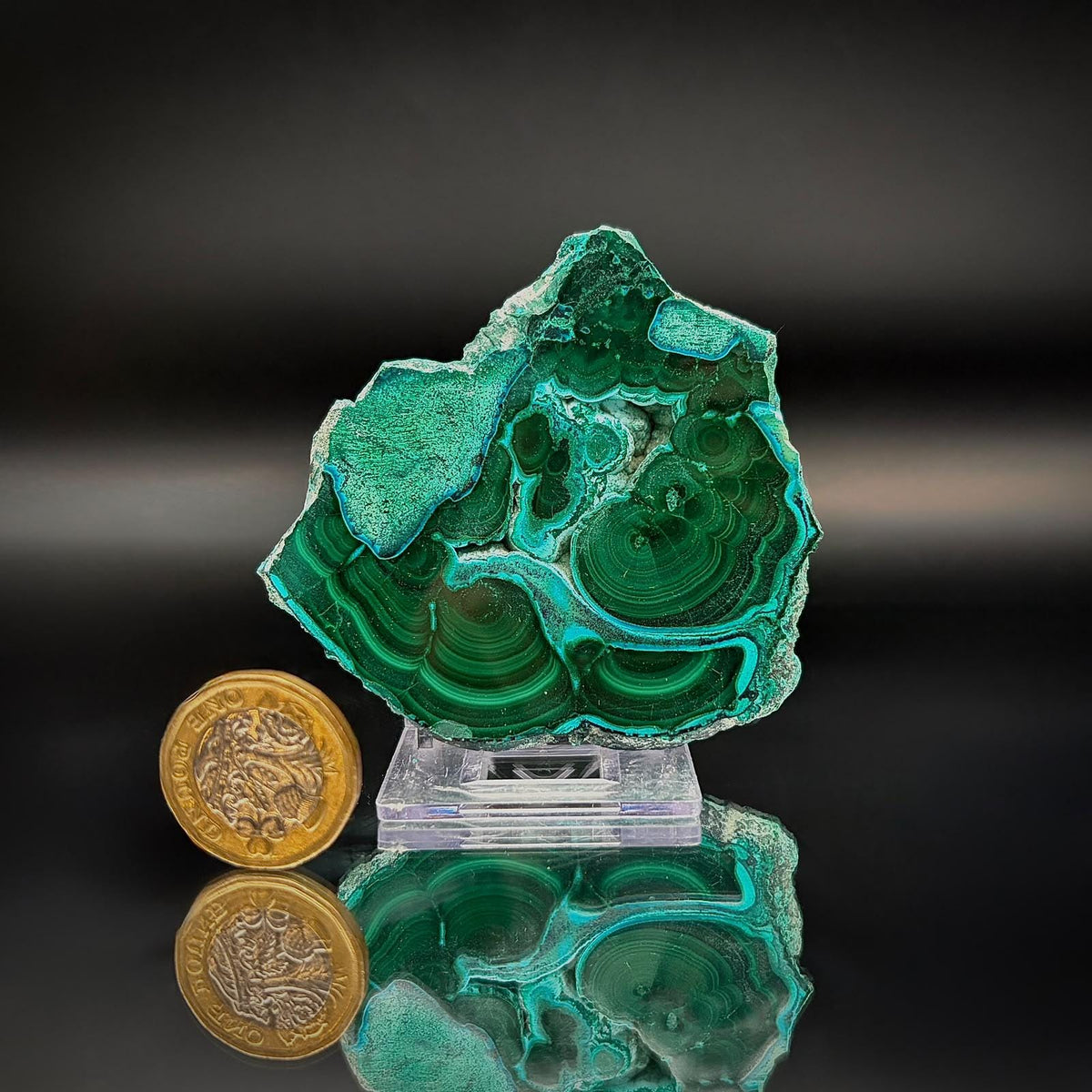 Polished Malacolla Collector Slice | Malachite with Chrysocolla | 75g #5