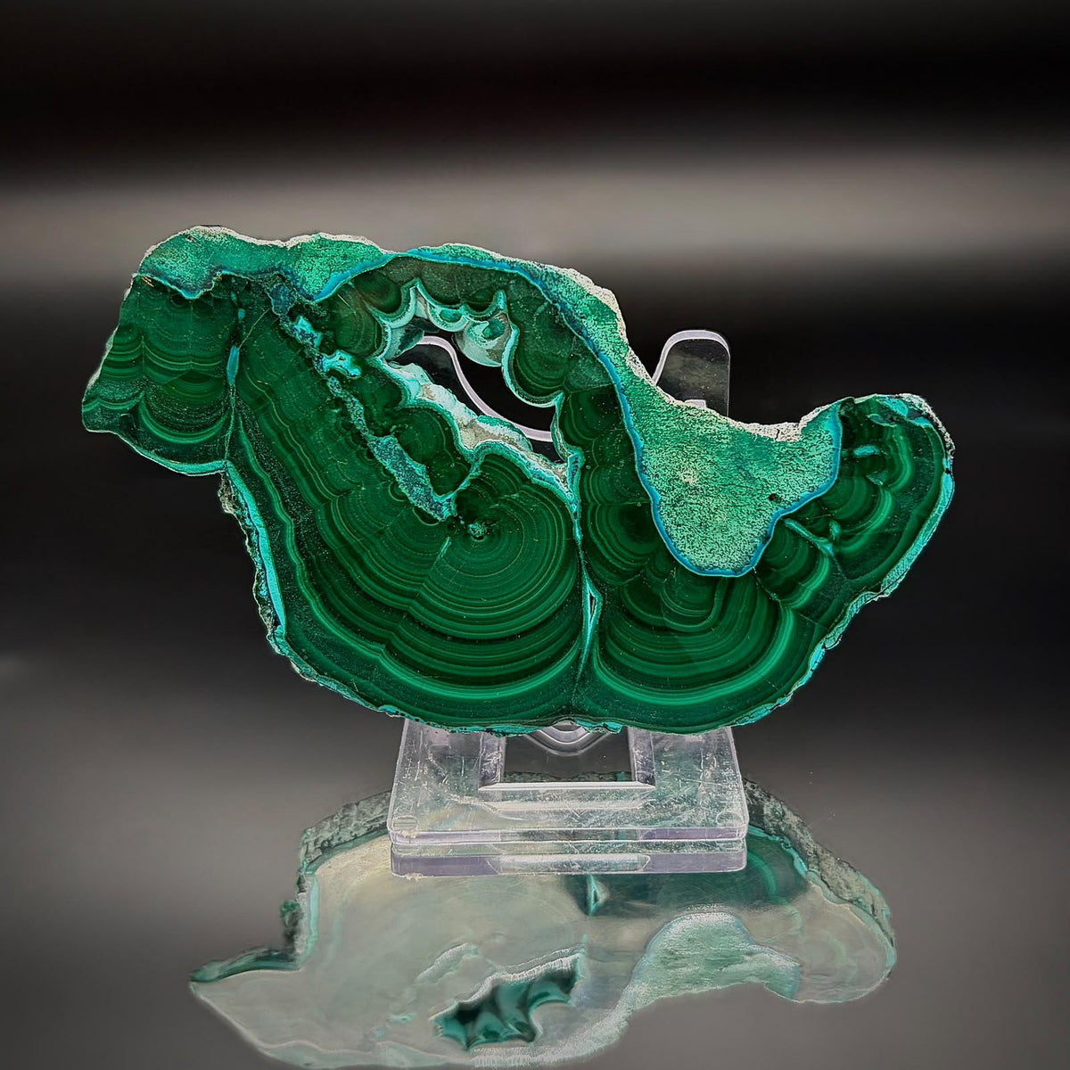 Polished Malacolla Collector Slice | Malachite with Chrysocolla | 80g #3