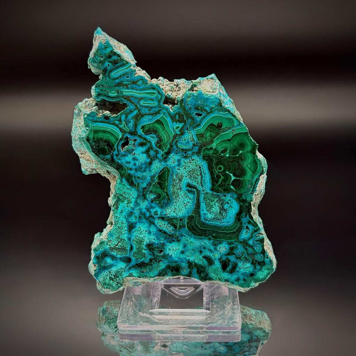 Polished Malacolla Collector Slice | Malachite with Chrysocolla | 86g #2