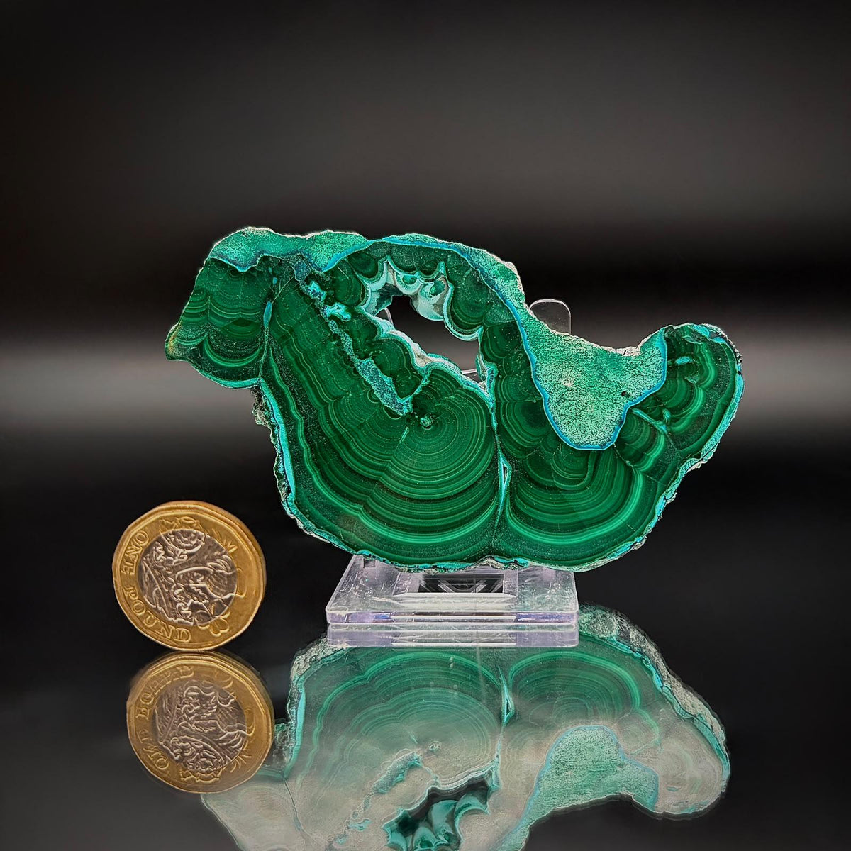 Polished Malacolla Collector Slice | Malachite with Chrysocolla | 80g #3
