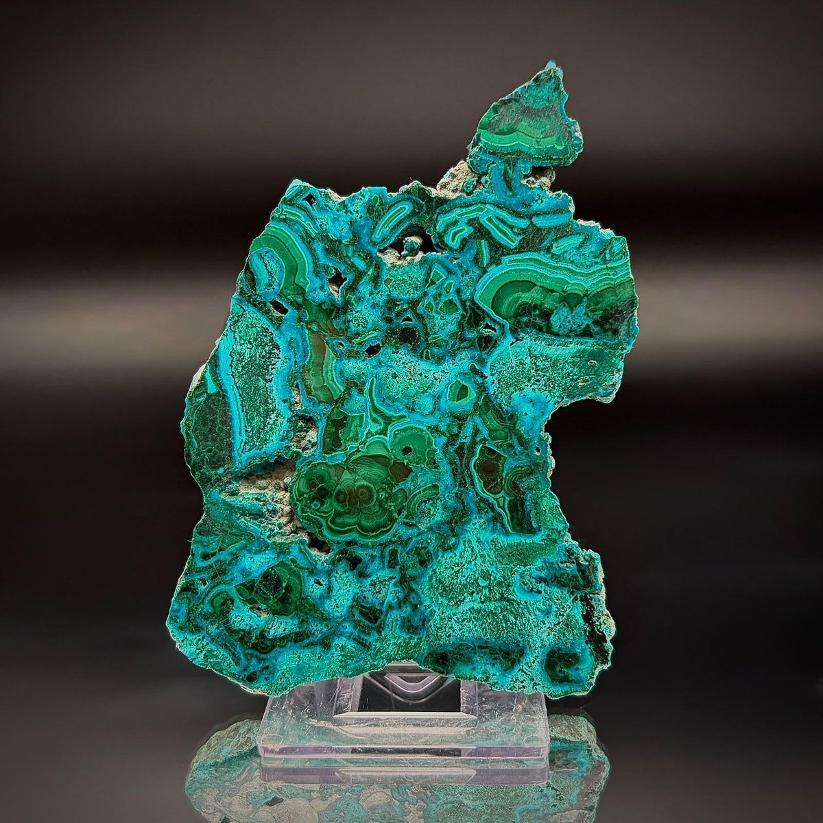 Polished Malacolla Collector Slice | Malachite with Chrysocolla | 86g #2