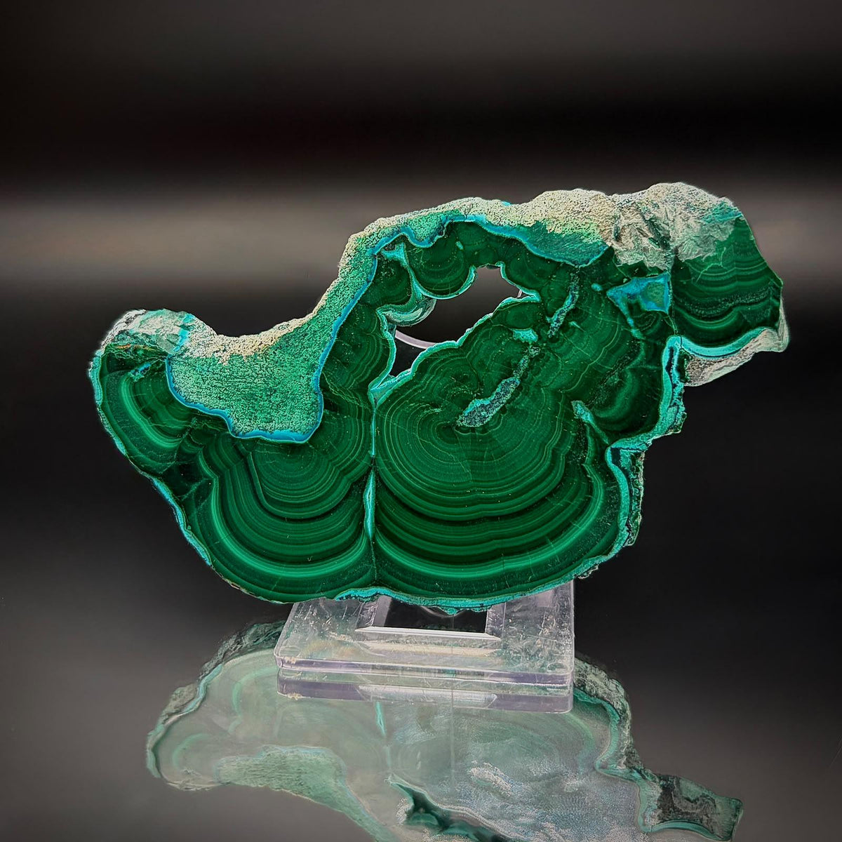 Polished Malacolla Collector Slice | Malachite with Chrysocolla | 80g #3