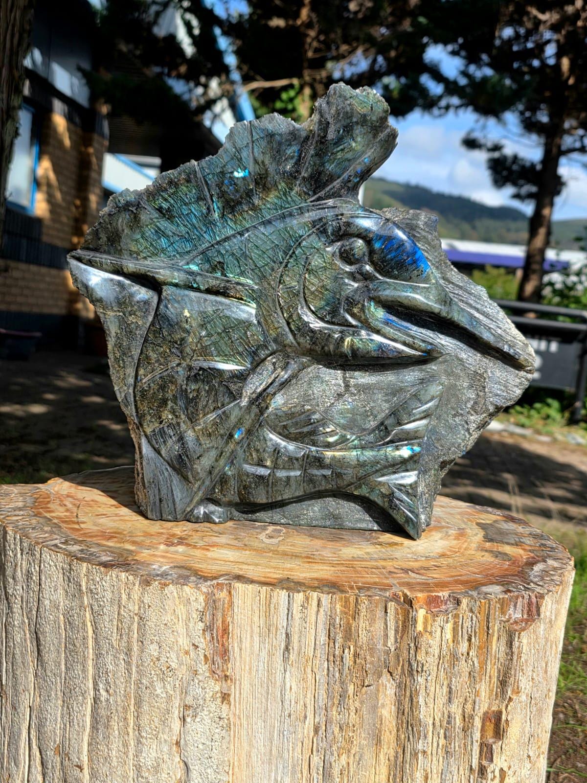 XL Labradorite Sailfish Crystal Carving | 11kg Game Fish Sculpture | Fishing Gift