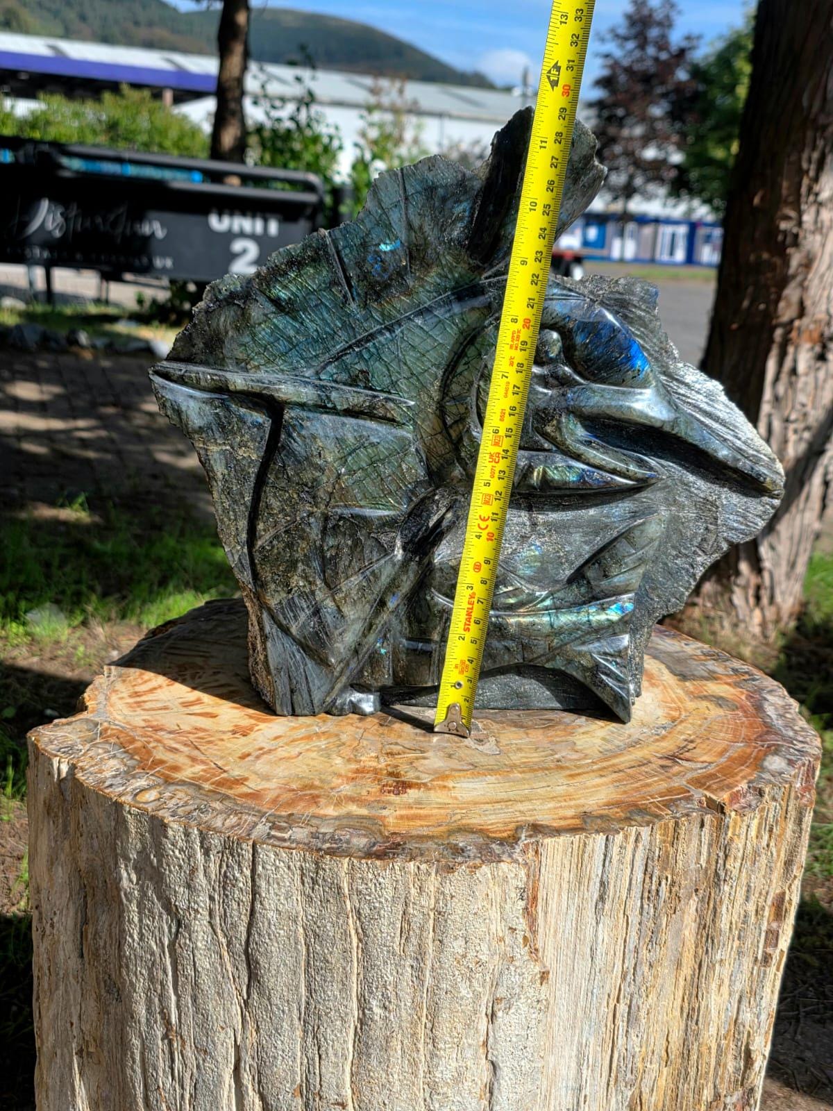 XL Labradorite Sailfish Crystal Carving | 11kg Game Fish Sculpture | Fishing Gift