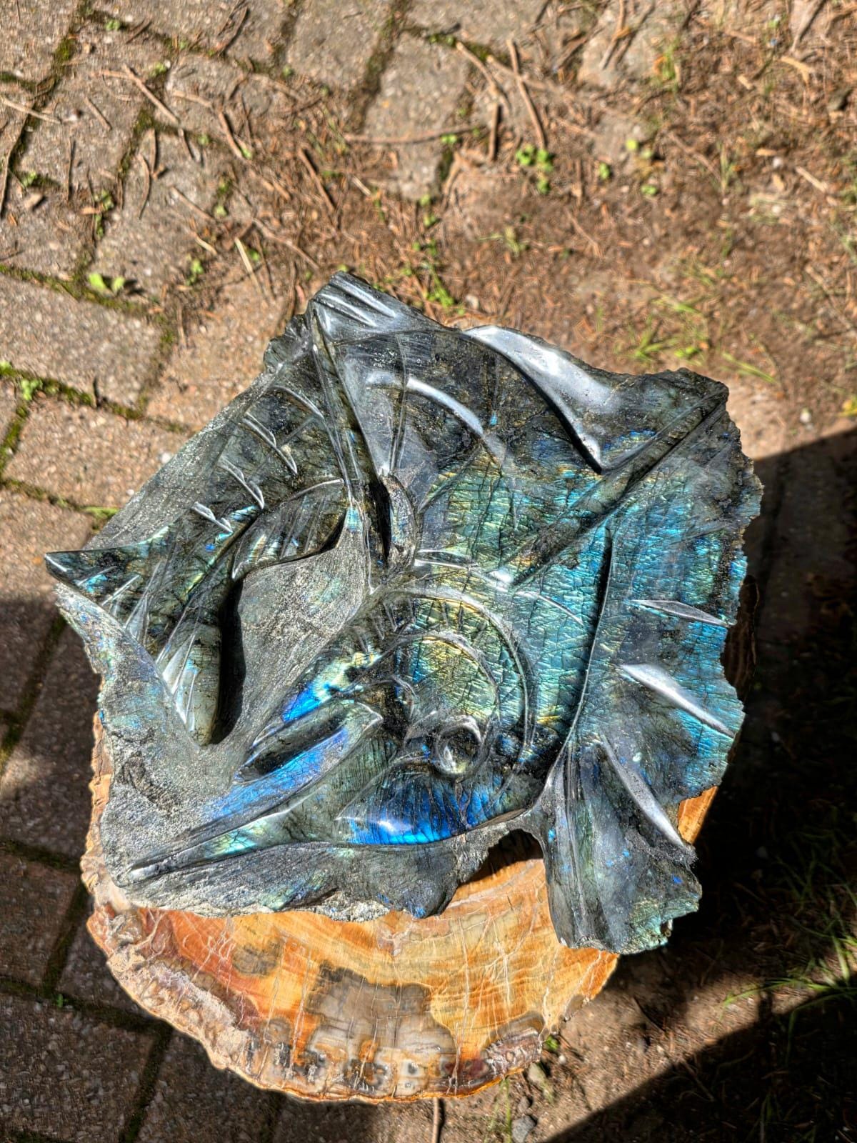 XL Labradorite Sailfish Crystal Carving | 11kg Game Fish Sculpture | Fishing Gift