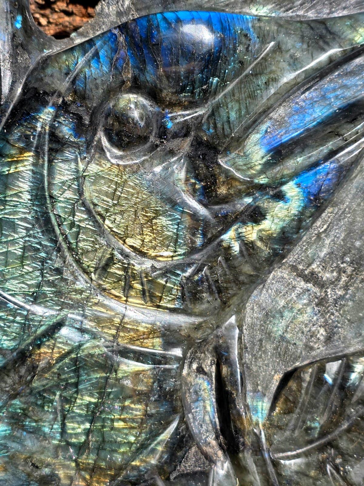 XL Labradorite Sailfish Crystal Carving | 11kg Game Fish Sculpture | Fishing Gift