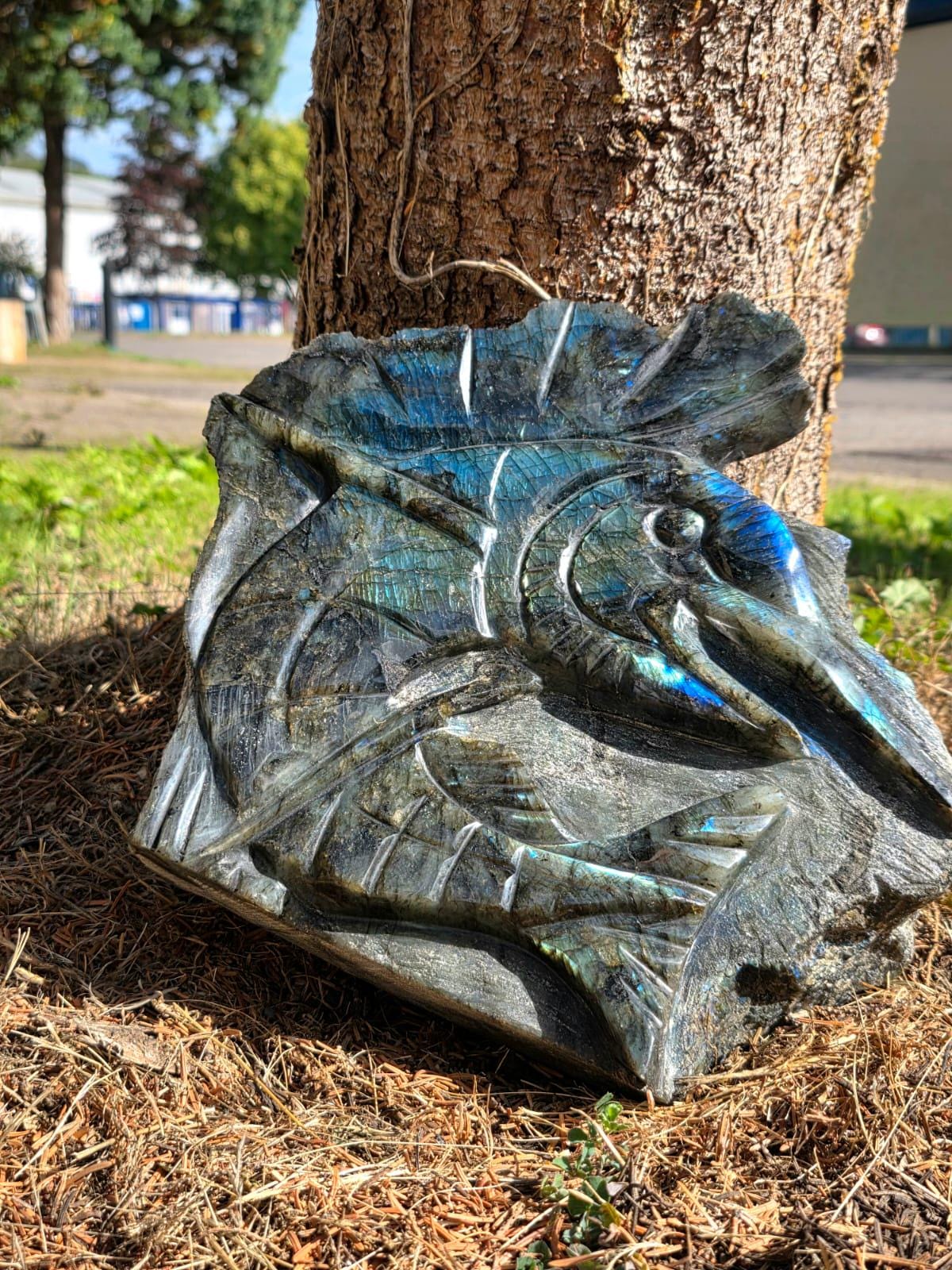 XL Labradorite Sailfish Crystal Carving | 11kg Game Fish Sculpture | Fishing Gift