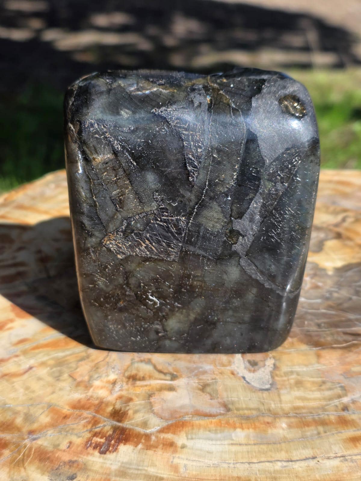 Rainbow Labradorite Lion Crystal Carving Freeform | 1.16kg
