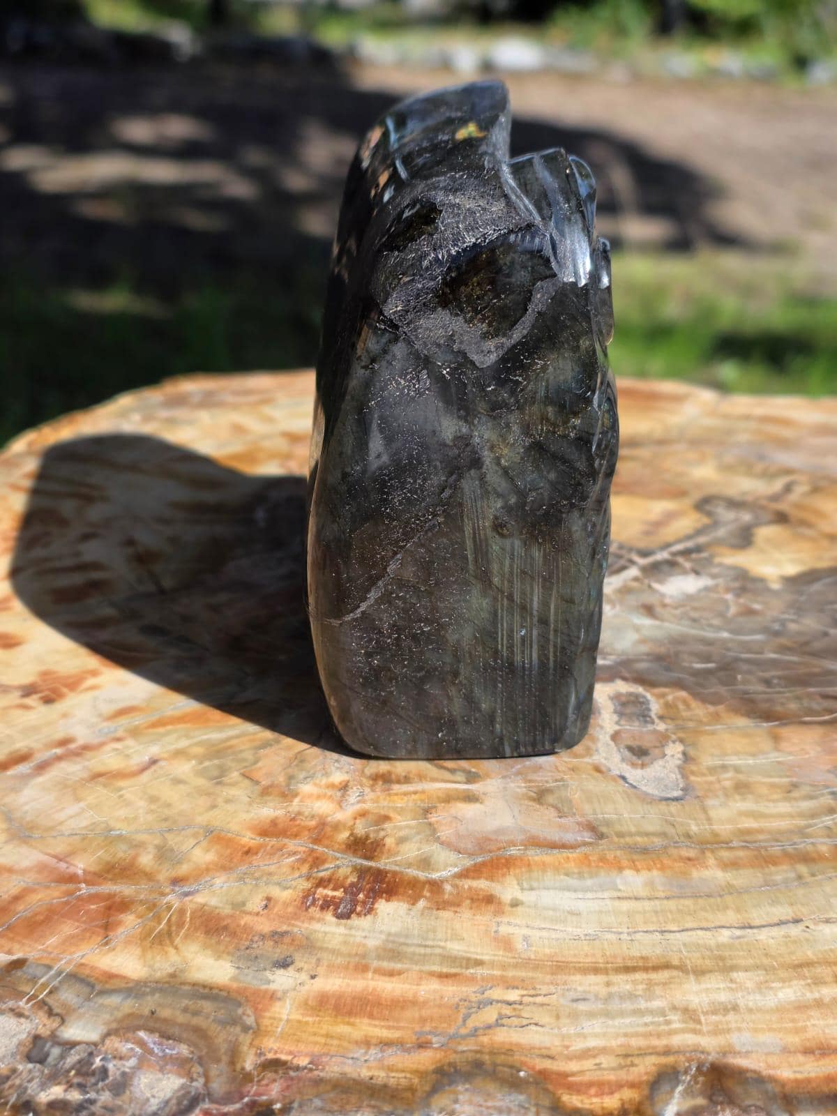 Rainbow Labradorite Lion Crystal Carving Freeform | 1.16kg